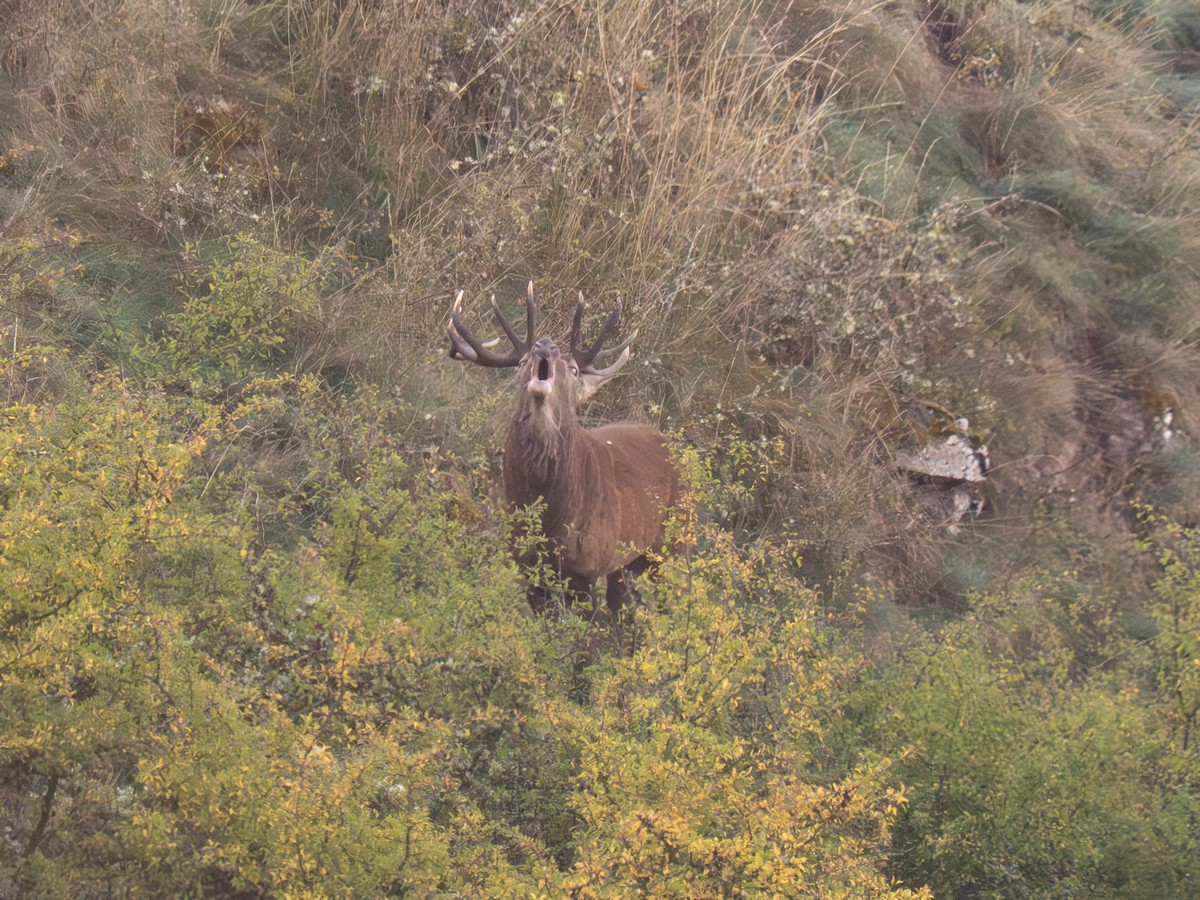 02102025-03 10 25 (4).jpg